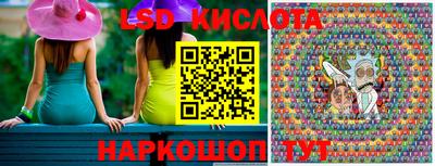 стаф Кингисепп