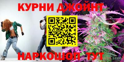 стаф Кингисепп