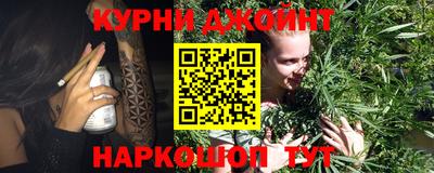 шишки Кинель