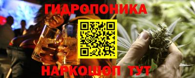 шишки Кинель