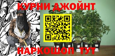шишки Кинель