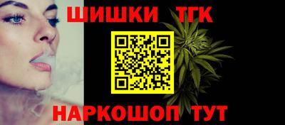 стаф Кингисепп