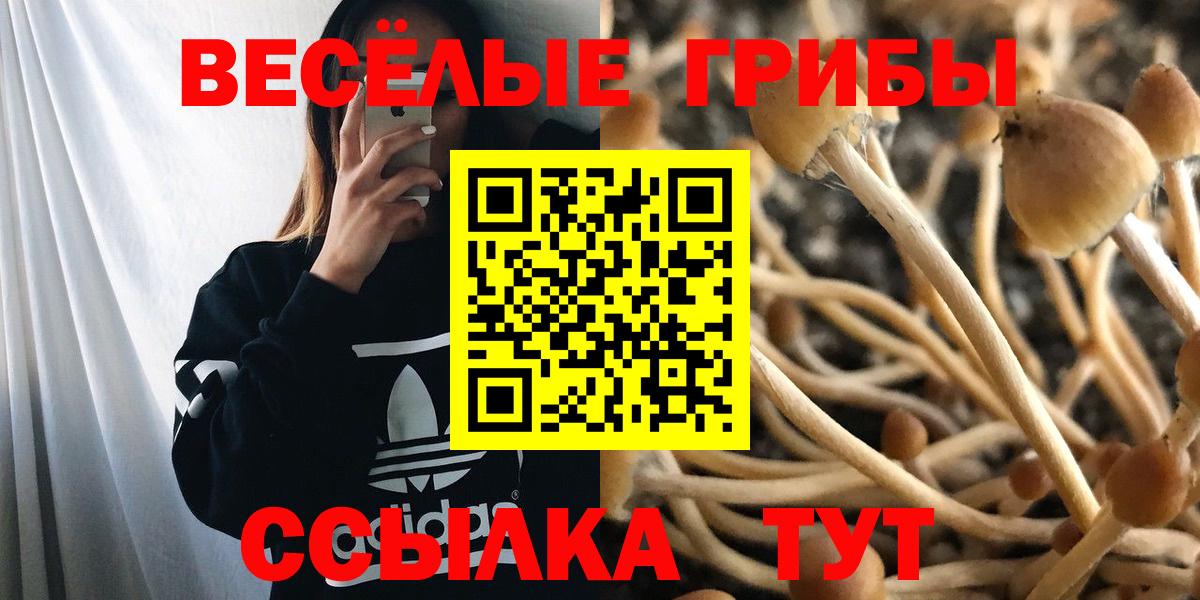 Галлюциногенные грибы Magic Shrooms  Вход с VPN  закладка  Шелехов 
