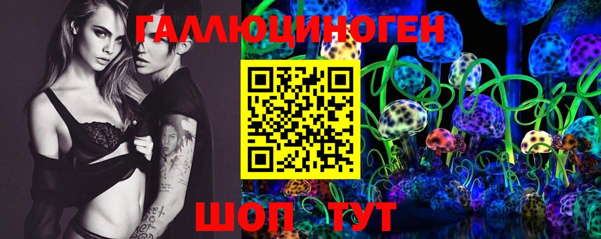 Псилоцибиновые грибы Cubensis Шелехов